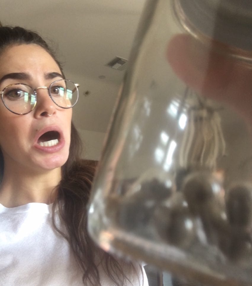 Nikki Reed mangia la sua placenta su Instagram [FOTO]