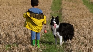 animali domestici bambini