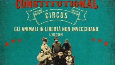 Venezia 78 Constitutional Circus