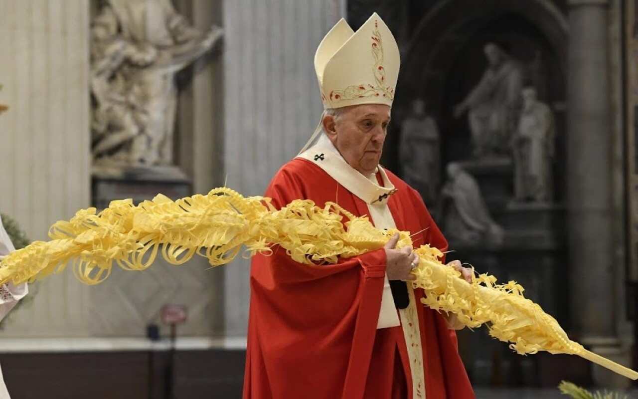Papa Francesco omelia Domenica Palme