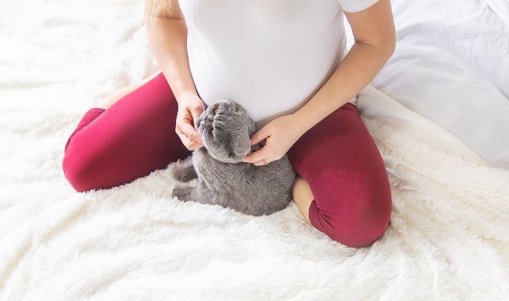 Gatto e donna incinta