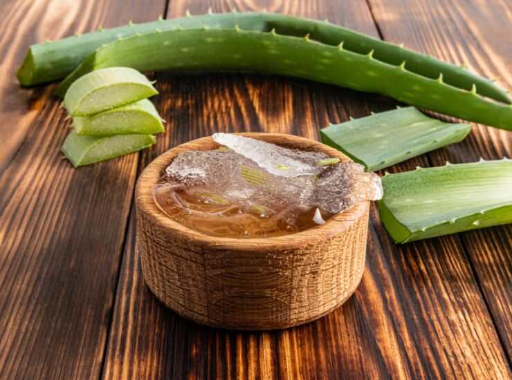 Aloe vera attenzione a questo passaggio