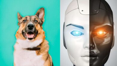 Intelligenza Artificiale e cani