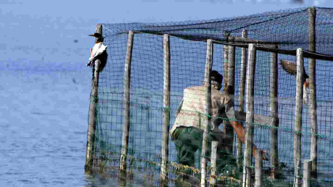 Toscana Orbetello Costa d'Argento esposto inquinamento