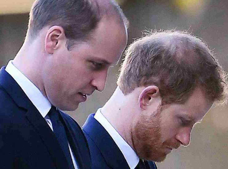 Principe Harry e William