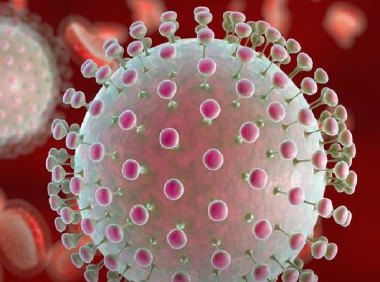 Virus oropouche due decessi a Bahia in Brasile 