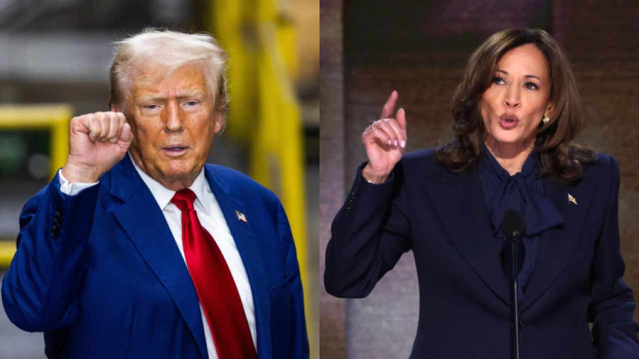 Kamala Harris e Donald Trump sondaggi