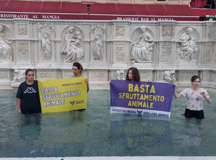 Palio Siena animalisti protesta 