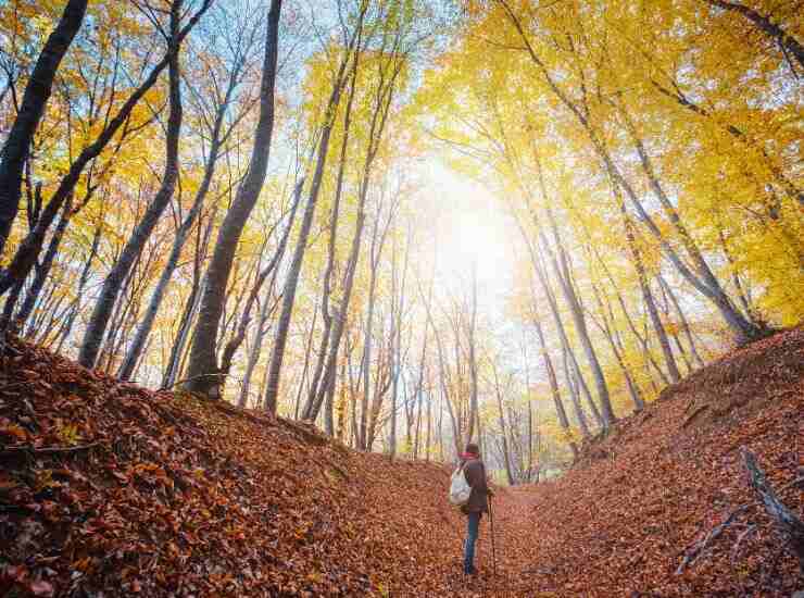 Previsioni Meteo Autunno