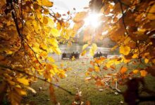 Previsioni Meteo Autunno