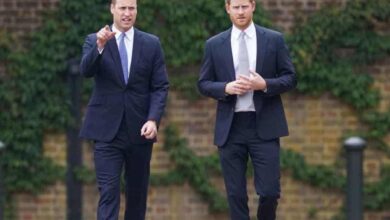 William e Harry rapporto