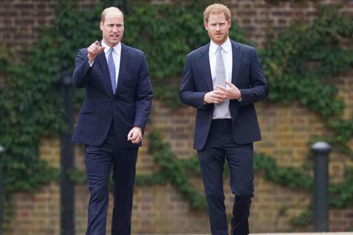 William e Harry rapporto