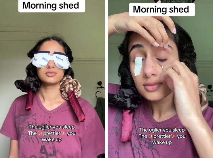 morning shed