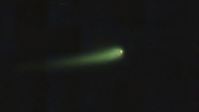 Cometa impatto Terra