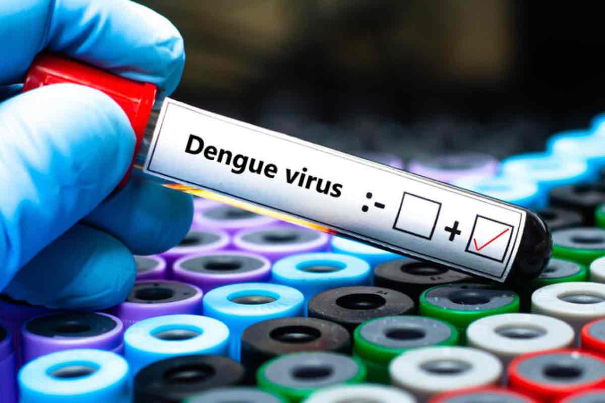 Dengue