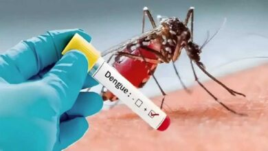 Dengue febbre a Fano nelle Marche