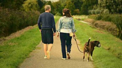 Passeggiata con il cane