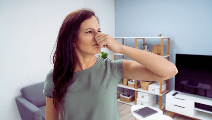 basta aggiungere questo nel secchio con l'acqua